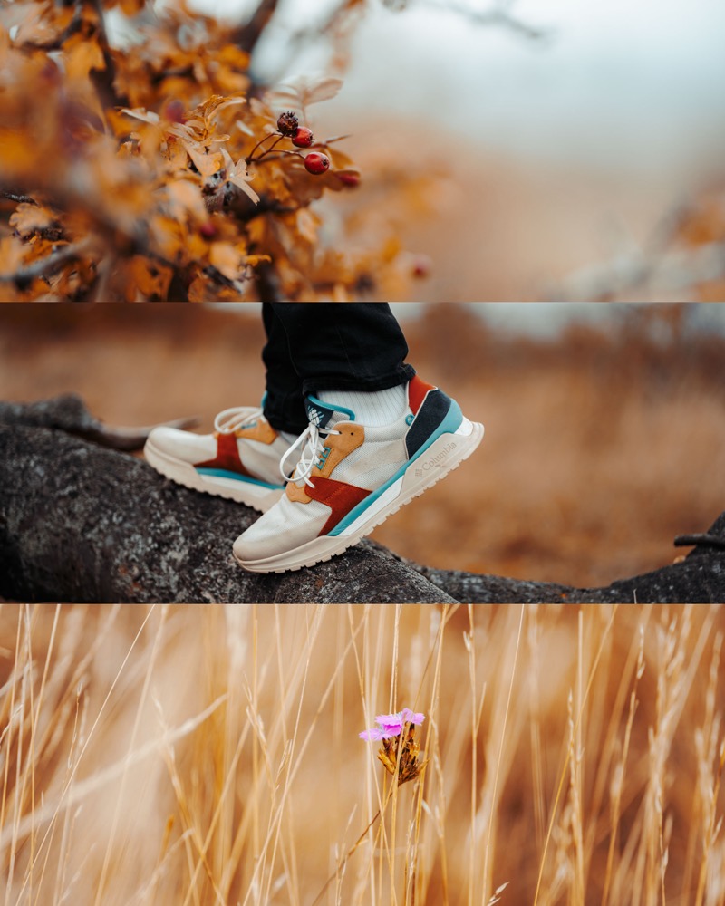 Collage: Sneaker auf herbstlichem Waldboden und eine Hand im goldenen Gras